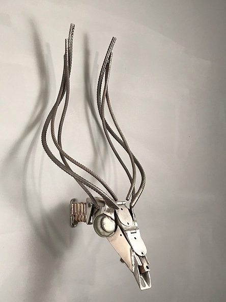 African Nyala 2