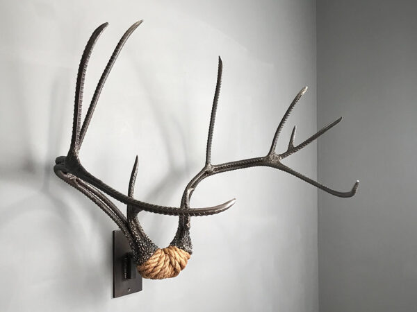 Mule Deer Rack