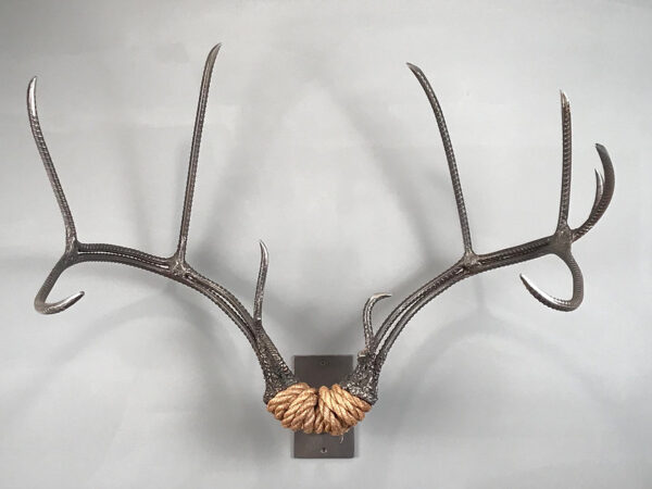 Mule Deer Rack
