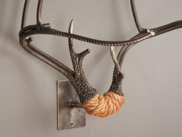 Mule Deer Rack