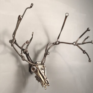 Mule Deer Rack In Wenches 1