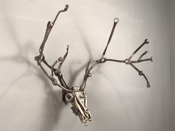 Mule Deer Rack In Wenches 1