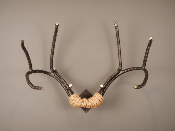 Whitetail Rack 1